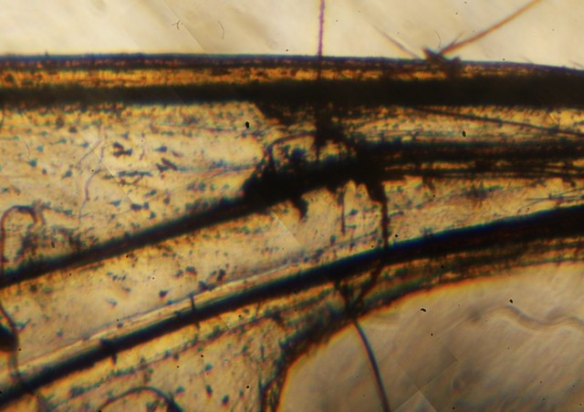 Matúš Astrab Skrytý svet/Hidden world