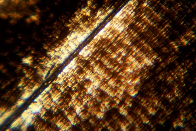 Matúš Astrab Skrytý svet/Hidden world