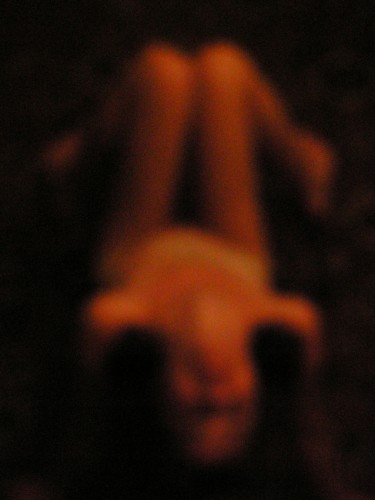 Michaela Ivaníková A woman or a doll