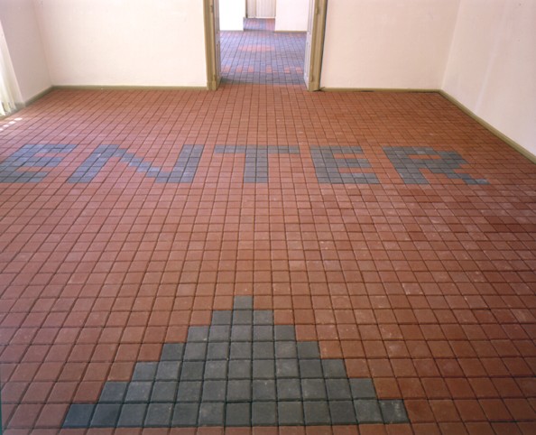 Miroslav Nicz PRIAMY PRENOS